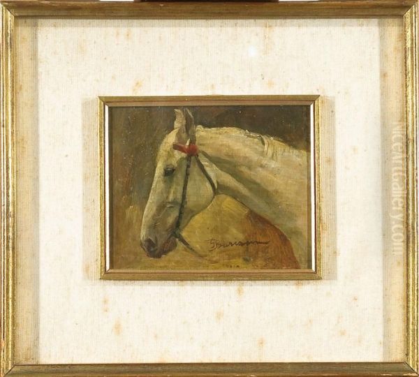 Testa Di Cavallo Oil Painting by Giuseppe Barison