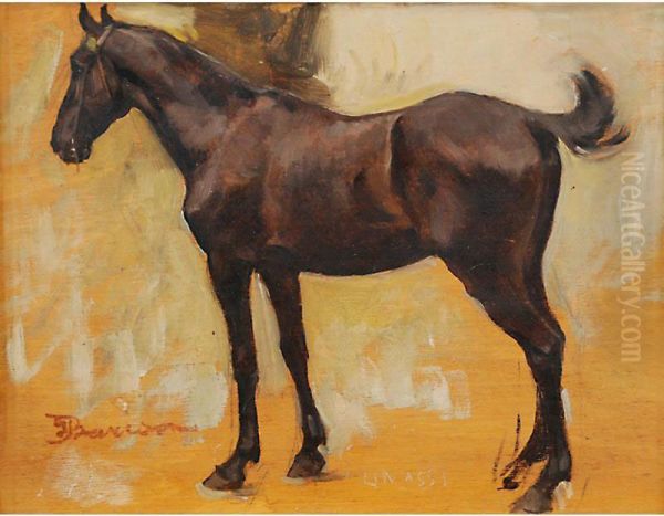 Il Cavallo Oil Painting by Giuseppe Barison