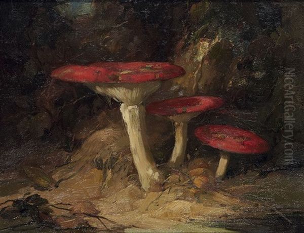 Paddenstoelen Oil Painting by Adriaan Joh. van' t Hoff