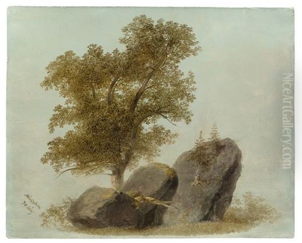 Baum Hinter Felsen Oil Painting by Jakob Hoffmann