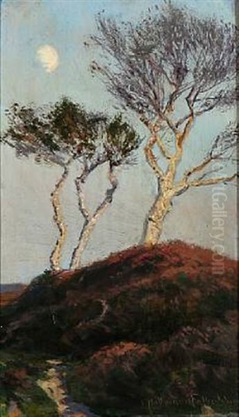 Heather Landscape With Birch Trees Oil Painting by Franz Hoffmann-Fallersleben