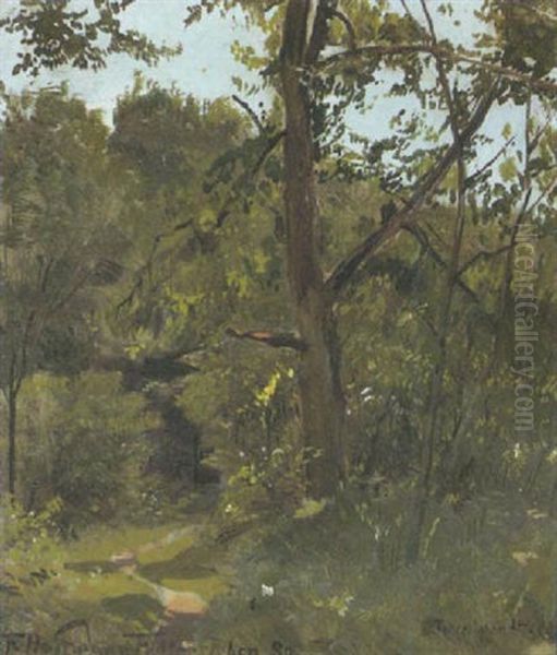 Sommerlicher Waldweg Oil Painting by Franz Hoffmann-Fallersleben