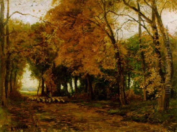 Die Grose Alle Im Park Von Augustenburg, Alsen Oil Painting by Franz Hoffmann-Fallersleben