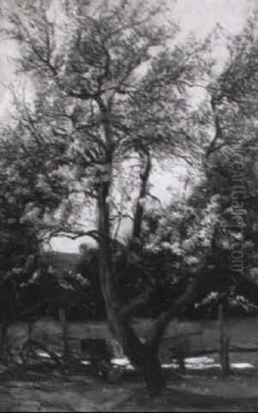 Bluhender Baum In Einem Landlichen Garten Oil Painting by Franz Hoffmann-Fallersleben