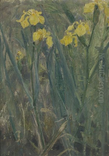 Gelbe Teichlilien Oil Painting by Ludwig Von Hofmann