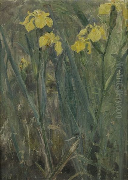 Teichlilien Oil Painting by Ludwig Von Hofmann