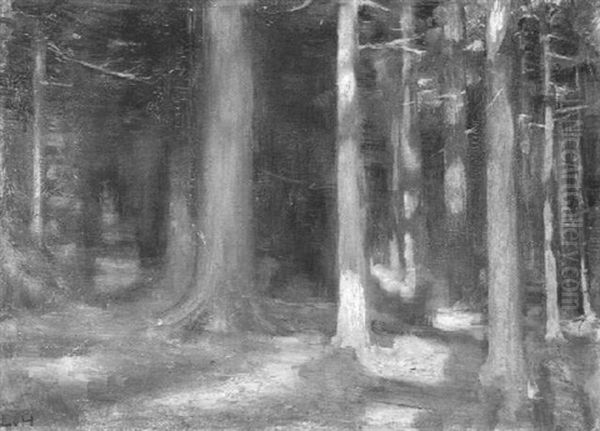 Wald Mit Durchbrechender Sonne Oil Painting by Ludwig Von Hofmann