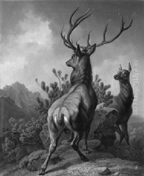 Jagdstuck. Zwolfender Und Hirschkuh Auf Einem Felsvorsprung Im Bergwald Oil Painting by Friedrich Hohe