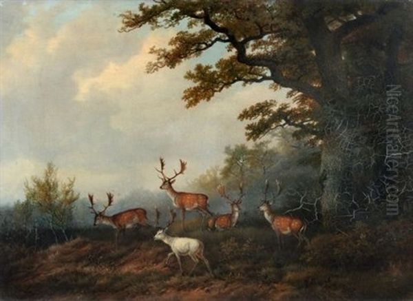 Damwild Am Waldrand Oil Painting by Georg Hoehn