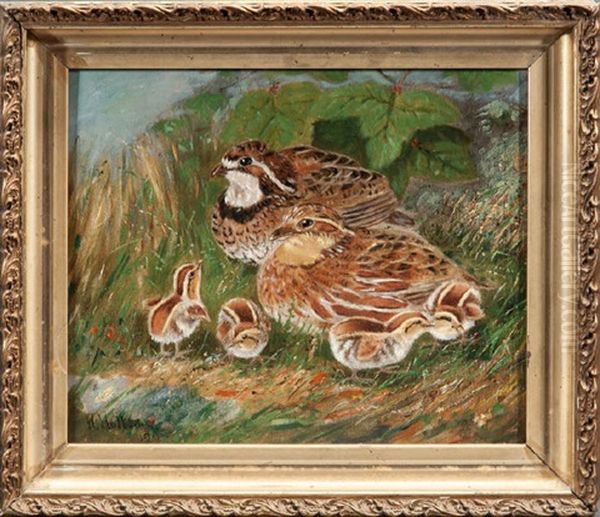 Bobwhite Quail Chicks Oil Painting by Wakeman Holberton