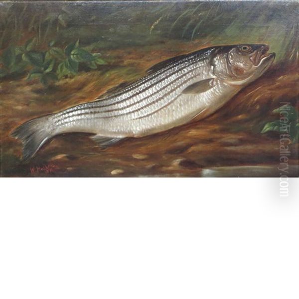 Trout Oil Painting by Wakeman Holberton