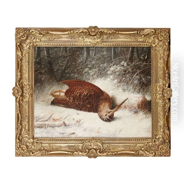 Woodcock In A Winter Landscape (+1 Other; Pair) Oil Painting by Abel Hold