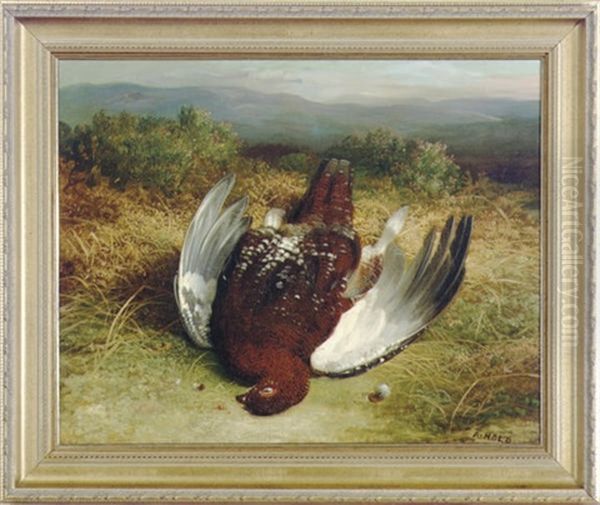 A Dead Grouse In The Highlands (+ A Companion Painting; 2 Works) Oil Painting by Abel Hold