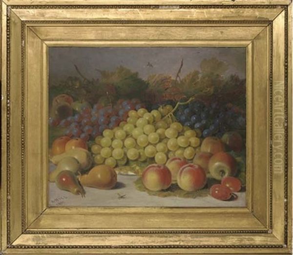 Grapes, Pears, Peaches And Apples, With Plums To The Side Oil Painting by Abel Hold