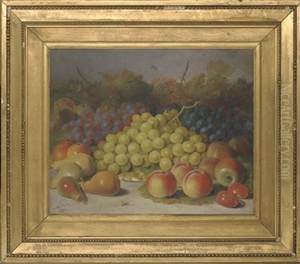 Grapes, Pears, Peaches And Apples, With Plums To The Side Oil Painting by Abel Hold