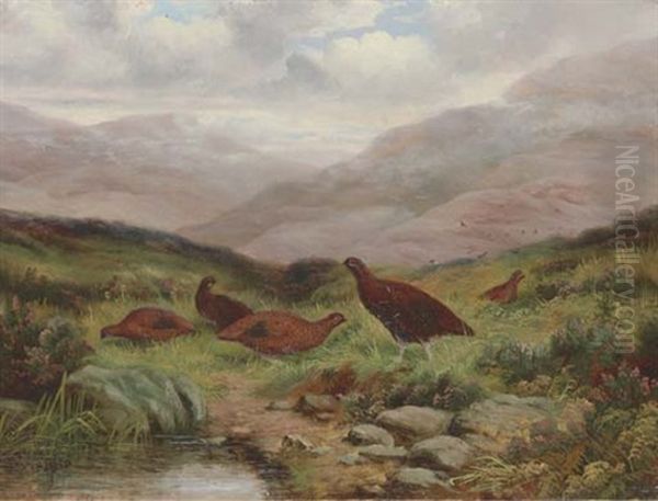 Red Grouse In A Highland Landscape Oil Painting by Abel Hold