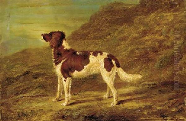 A Gundog In A Landscape Oil Painting by Abel Hold