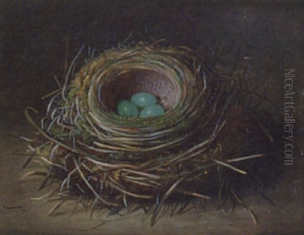 Still Life Of A Bird's Nest Oil Painting by Abel Hold