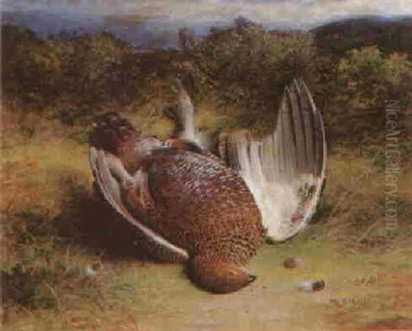 A Dead Grouse Oil Painting by Abel Hold