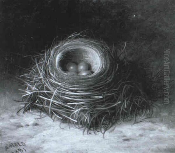 A Bird's Nest Oil Painting by Abel Hold