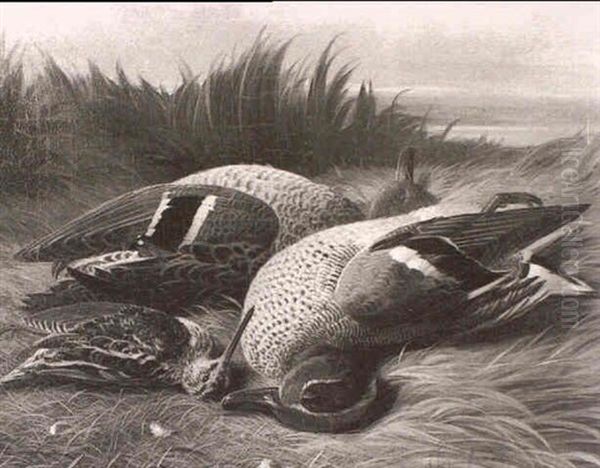 A Still Life Of A Teal And A Snipe On A Grassy Bank Oil Painting by Abel Hold