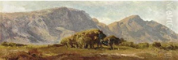 Table Mountain, South Africa Oil Painting by Edward Henry Holder