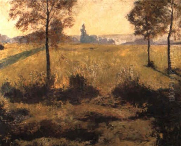 Zonnig Landschap Oil Painting by Franz van Holder