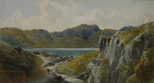 Llyn Crafnant From Above The Gorge Oil Painting by William Dean Barker