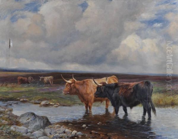 Highland Cattle Watering At The Stream Oil Painting by Wright Barker