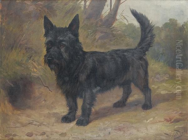 A Scottish Terrier Oil Painting by Wright Barker