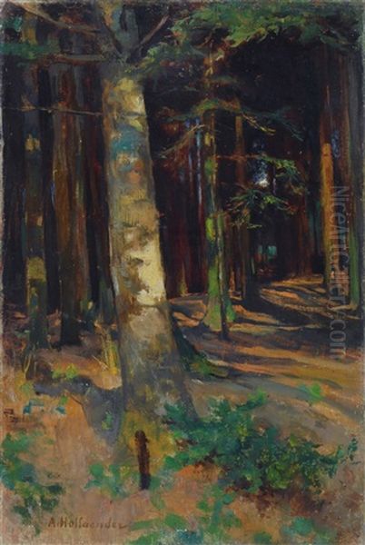 Luci Nel Bosco Oil Painting by Alphons Hollaender