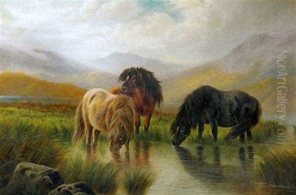 Shetland Horses Watering At Mountain Lake Oil Painting by William Perring Hollyer