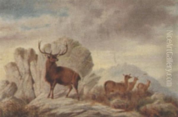 A Stag And Deer In A Highland Landscape Oil Painting by William Perring Hollyer