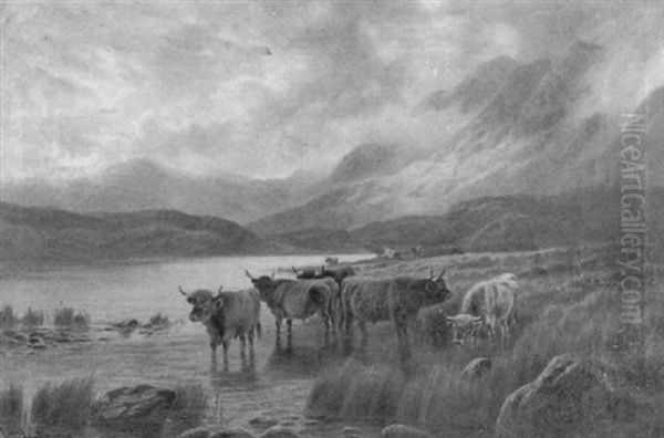 Cattle Watering In Mountain Lake Oil Painting by William Perring Hollyer