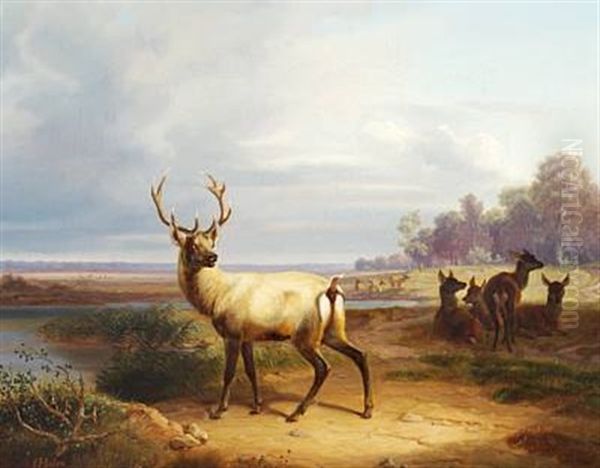 Stag And Red Deer Near A Lake Oil Painting by Christian Frederick Carl Holm