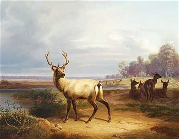 En Kronhjort Med Sine Hinder Oil Painting by Christian Frederick Carl Holm