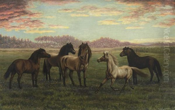 Horses In Pasture Oil Painting by Julius Holm