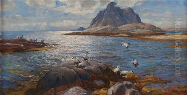 Nordnorsk Kystlandskap Med Sjofugler Oil Painting by Thorolf Holmboe