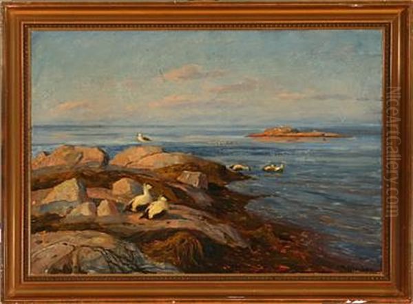 Aerfugl Paa Et Skjaer Oil Painting by Thorolf Holmboe