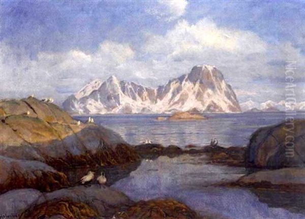 Nordlandskyst Med Sjofugler Oil Painting by Thorolf Holmboe