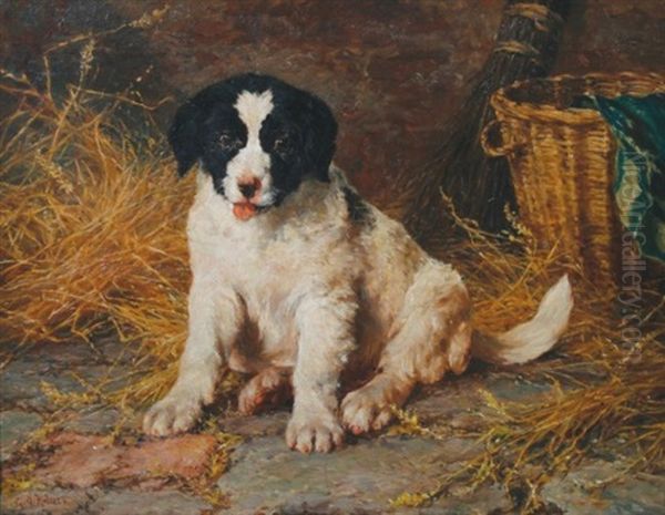 Spaniel Puppy In A Barn Oil Painting by George Augustus Holmes