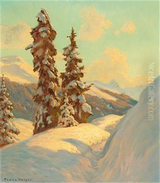 Spruce On The Schatzalp Oil Painting by Franz Holper