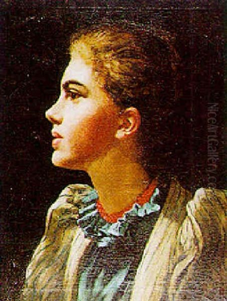 A Portrait Of A Lady Oil Painting by Charles Holroyd