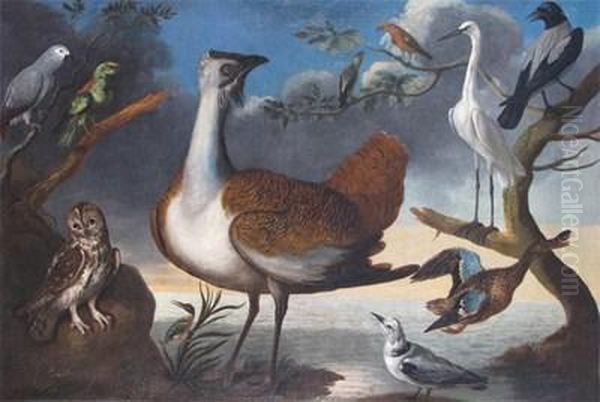 A Grey Parrot, A Green Woodpecker, A Tawny Owl, A Kingfisher, A Great Bustard, A Male And Female Crossbill, A Kittywake, A Shoveller Duck, A Great White Egret And A Hooded Crow Oil Painting by Francis Barlow