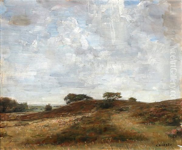 View Over The Hills At Tibirke Oil Painting by Carl Vilhelm Holsoe