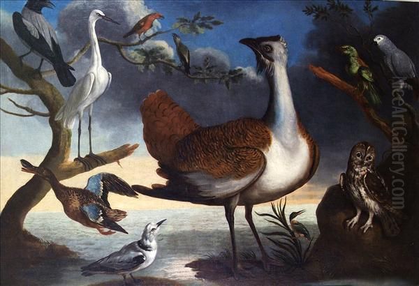 Exotic Birds On A Bank With A Grey Parrot, A Green Woodpecker, Atawny Owl, A Kingfisher, A Great Bustard, A Pair Of Crossbills, Akittiwake Oil Painting by Francis Barlow