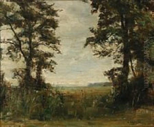 View From A Forest Glade by Carl Vilhelm Holsoe