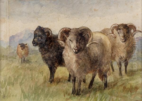 ````````mountain Sheep' Oil Painting by Hannah Barlow