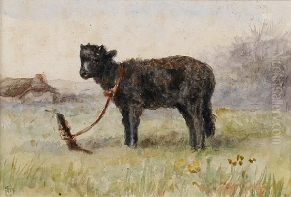 A Black Sheep Tied To A Tree Stump In A Field Oil Painting by Hannah Barlow