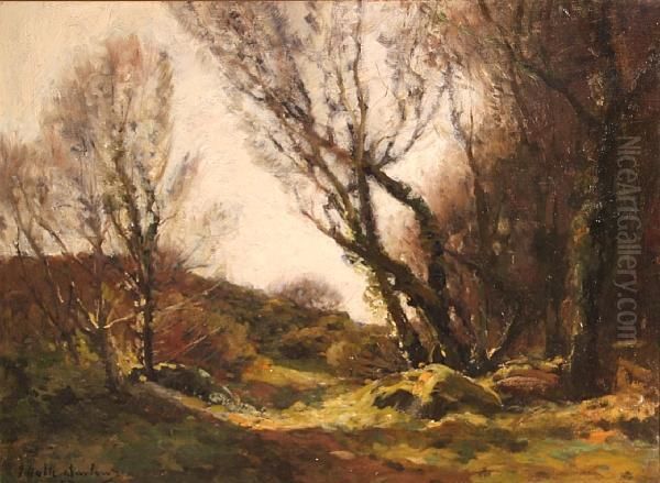 A Wooded Landscape Oil Painting by John Noble Barlow